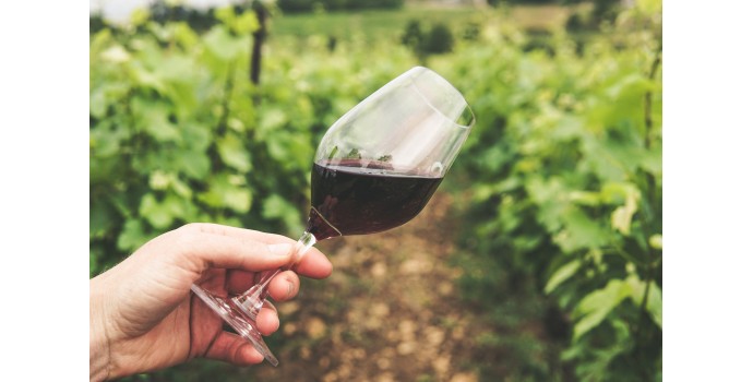 Soirée dégustation le 31 mars 2023 : La Syrah à travers le monde Soirée dégustation le 31 mars 2023 : La Syrah à travers le monde